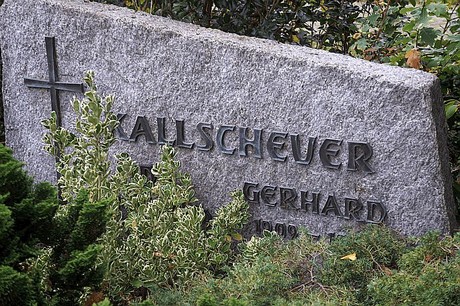 Niederau