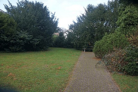 Niederau