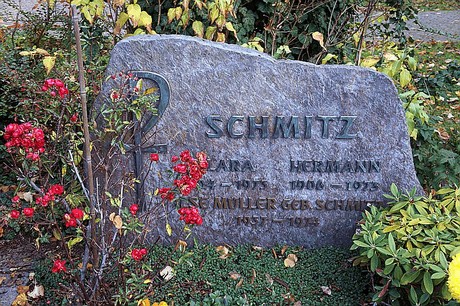 Niederau