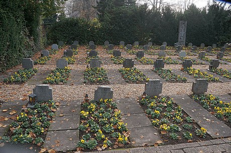 Niederau