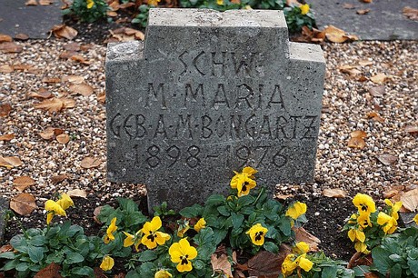 Niederau