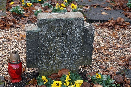 Niederau