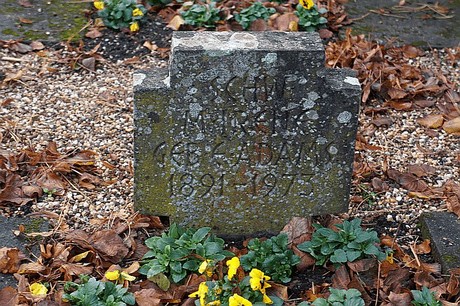 Niederau