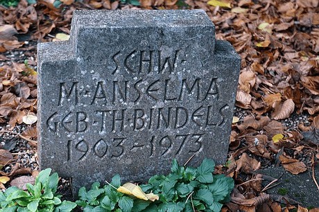 Niederau
