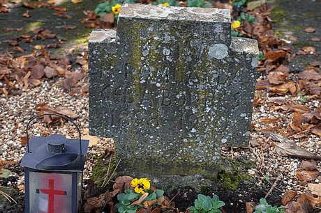 Niederau
