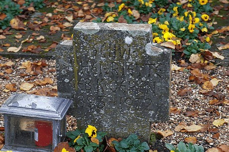 Niederau
