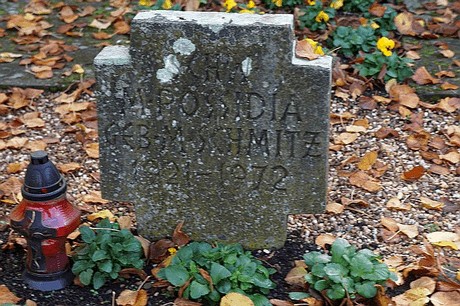 Niederau