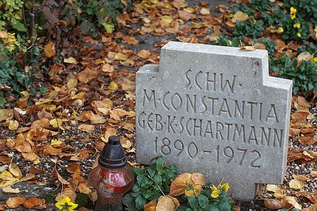 Niederau