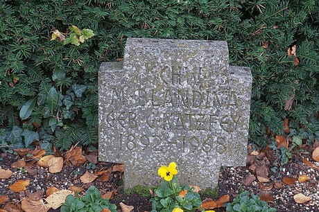 Niederau