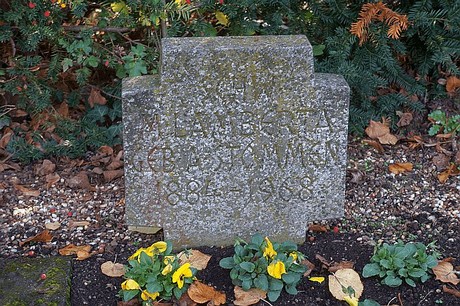 Niederau