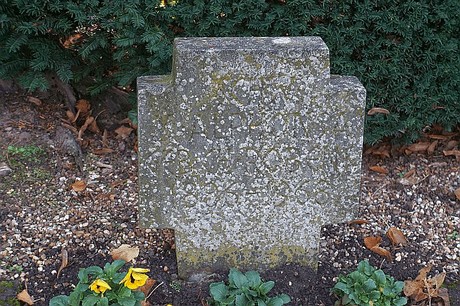 Niederau