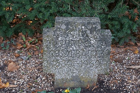 Niederau