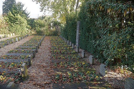 Niederau