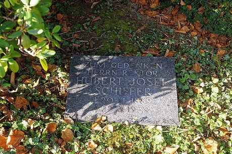 Niederau