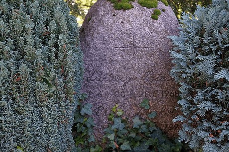 Niederau