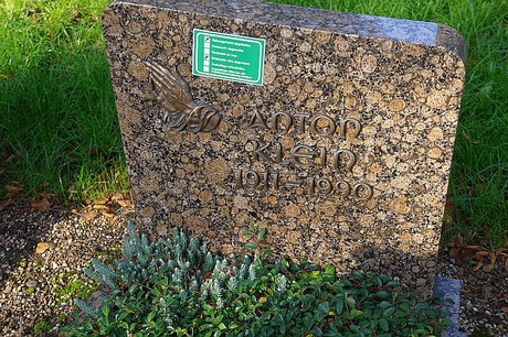 Niederau