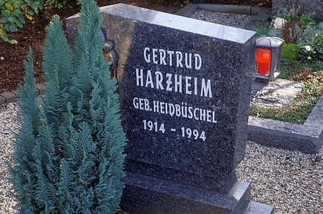 Niederau