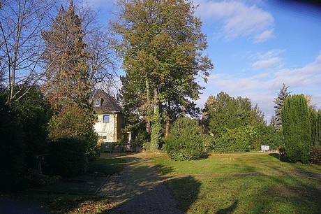 Niederau