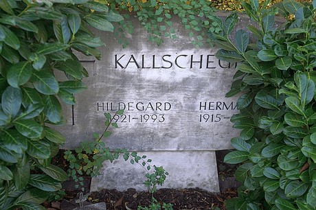 Niederau