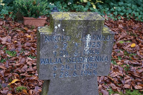 Niederau