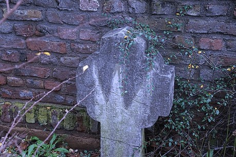 Niederaussem