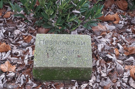 Niederaussem