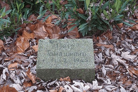 Niederaussem