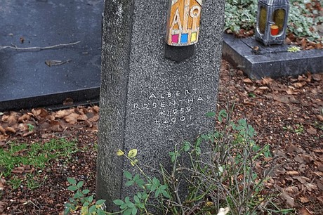 Niederaussem