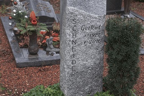 Niederaussem