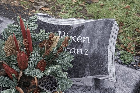 Niederaussem