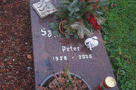 Niederaussem