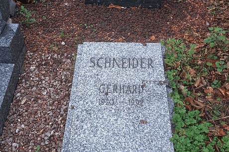 Niederaussem