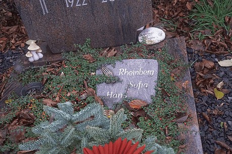 Niederaussem