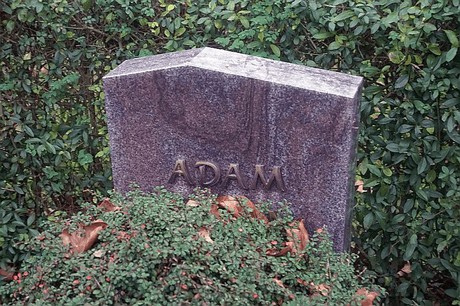 Niederaussem