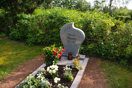 Niederberg