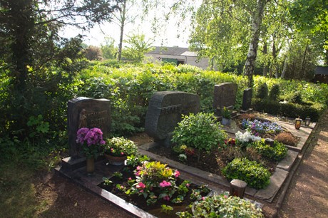 Niederberg
