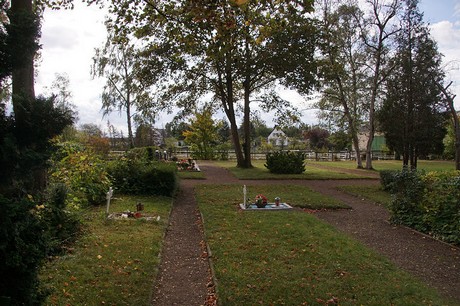 Niederberg