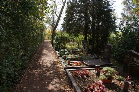Niederberg