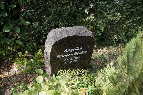 Niederberg
