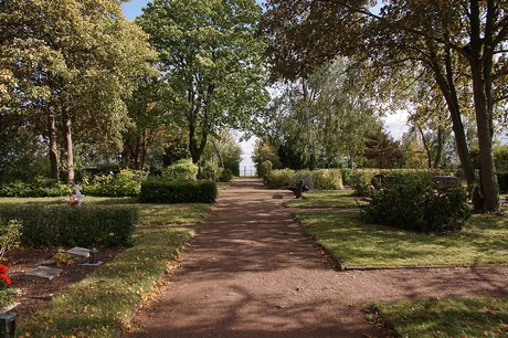 Niederberg