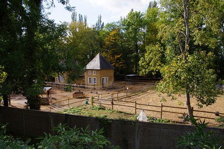 Niederberg