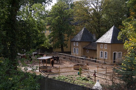 Niederberg