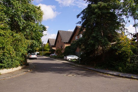 Niederberg