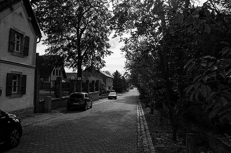 Niederberg