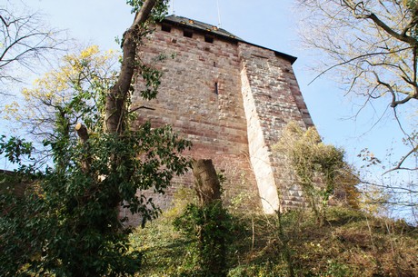 nideggen
