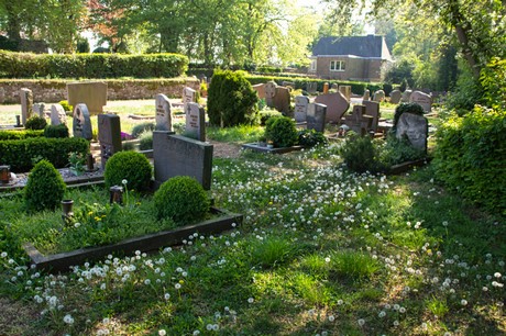 Nideggen