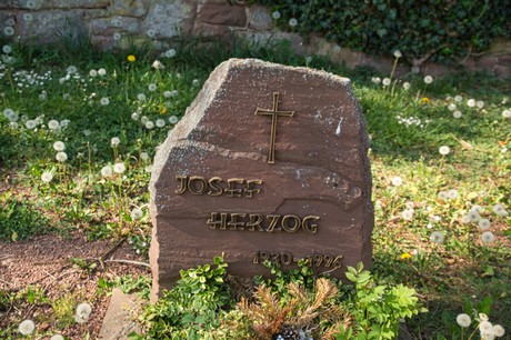 Nideggen