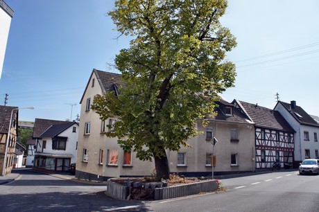 niederzissen