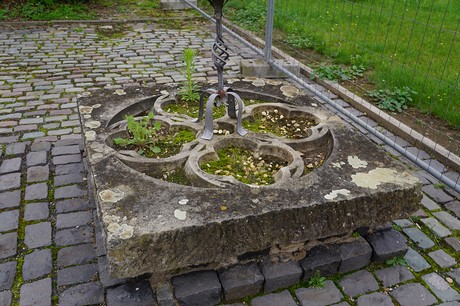noervenich
