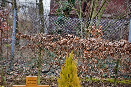 noervenich-friedhof